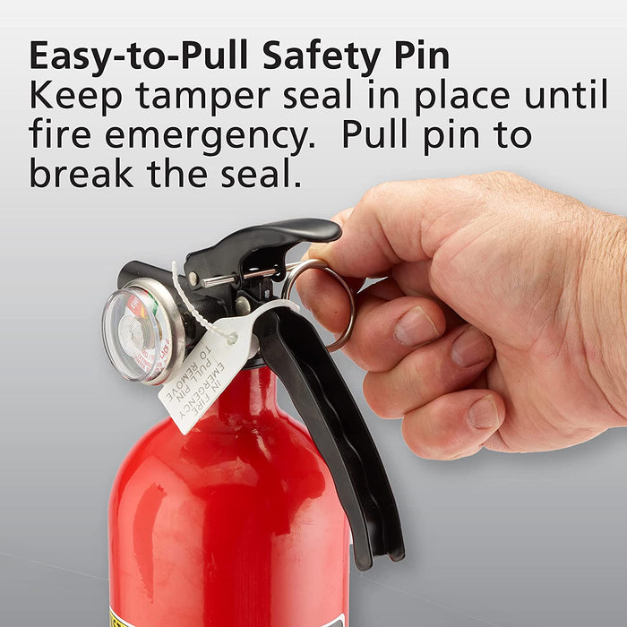 Fire Extinguisher for Home, 1-A:10-B:C, Dry Chemical Extinguisher, Red, Mounting Bracket Included, 2 Pack